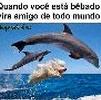 foto do perfil maridodoaesposa